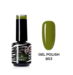 Box 60 Gel Polish