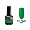 Gel Polish 587
